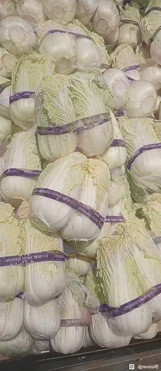 [隐藏图]