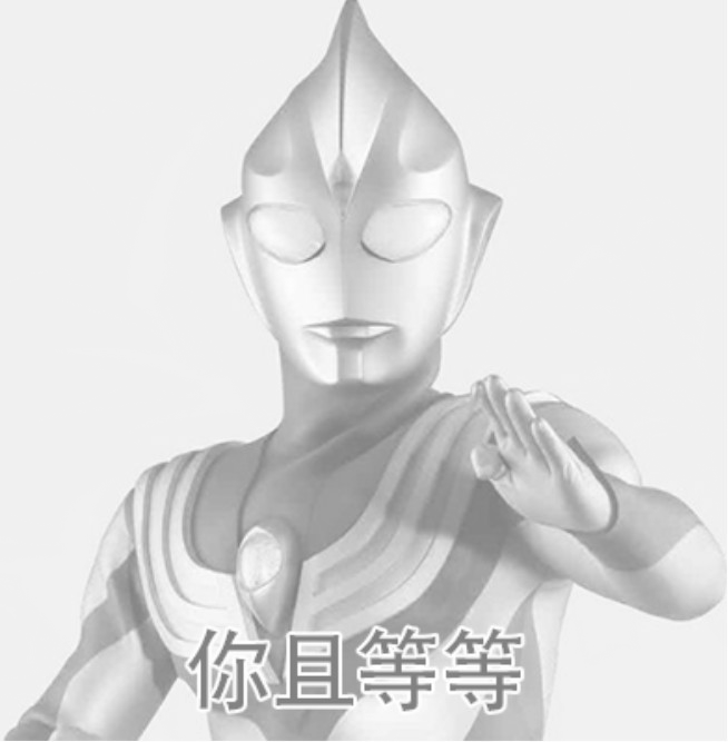 [隐藏图]